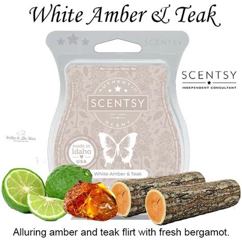 white amber and teak scentsy